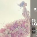 강릉베스트샵 이미지