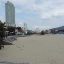 동백섬
