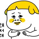 바디포헬스 이미지