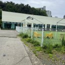 펫프닝 타운 이미지