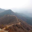 이윤권양한방동물병원 이미지