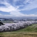 한우목장 이미지