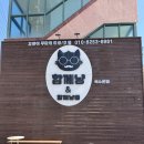 함께냥 앤 함께냥품 북수원점 | 수원 고양이 미용 잘하는 곳 함께냥 북수원점 내돈내산 후기