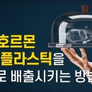 미세플라스틱을 배출하는3단계 해독 이미지