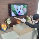 오수봉투 이미지