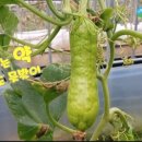 광양친환경농자재 이미지