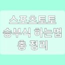토토PC 이미지