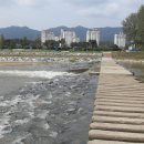 연탄4리 이미지