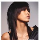 칼라디자인 이미지