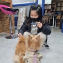 구미펫직업훈련학원 이미지