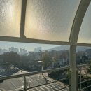 카앤코 | [창원] 당일치기 여행코스 맛집, 카페 6곳 총정리(가로수길, 오아시스, 프레클앤코, 도돌커피, 해변의꽃게)