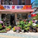 강동꽃화원 이미지