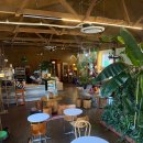 컨츄리로드커피 | 태안 컨츄리 로드 커피 내돈내산 자연 감성 가득한 정원카페