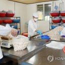 신진한과