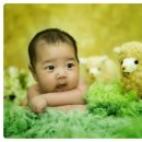 &lt;일산아기사진&gt; 아이뽀스튜디오 - 시원이 50일 촬영후기^^
