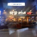 막끌리네 이미지