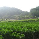 다시농장 이미지