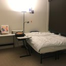 강아지천국 이미지