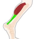 예스본의원 이미지