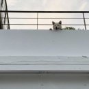 땡스오트 이미지