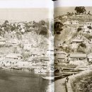 예전엔 대포항도 이렇게 순박했다!!!! 이미지