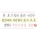 꿀노래주점 이미지
