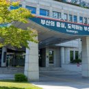 부산진구-3 이미지