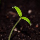 동의한의원 이미지