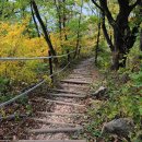 삼례약수 이미지