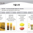 입체미술교육원