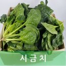 시금치 이미지