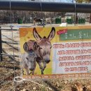 대공원역 1번 출구 뒤 이미지