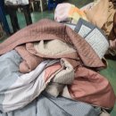 대전특수세탁 이미지