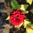 팔현2리 마을회관 이미지