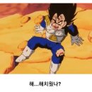 아주커 이미지