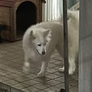 선궷네 | 23년 01월 제주도 여행 Day 4 :고기국수 추천(또똣)/막창순대/에코백만들기(륜공방)/파지약과 장인더...