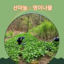 자포농장 이미지