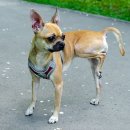 온동물병원 이미지