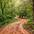 황토길 | 계족산황토길 맨발걷기 찐 후기! 아기랑 대전 당일치기 코스