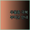 해성정신건강의학과의원 이미지