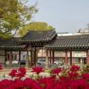 홍성주유소 이미지