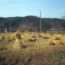 강변이야기펜션 이미지