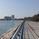 코바타워 이미지