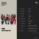 캣츠아이 이미지