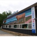 강원식당 이미지