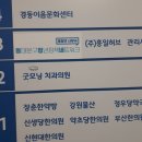 서울스카시 이미지