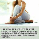 제나셀 이미지