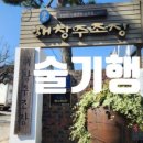 천일투어 이미지