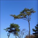 동산리마애여래상 이미지