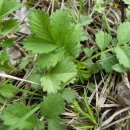 선학초등학교 이미지